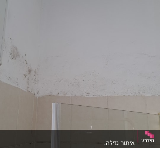 קיר עם רטיבות ועובש בחדר אמבטיה